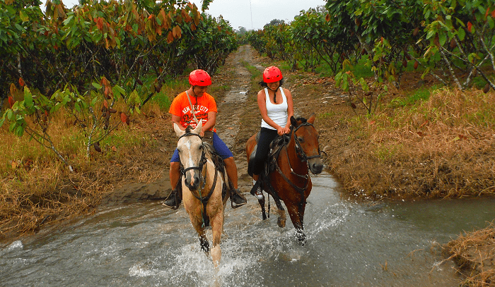 Horseback riding near Guayaquil day trip