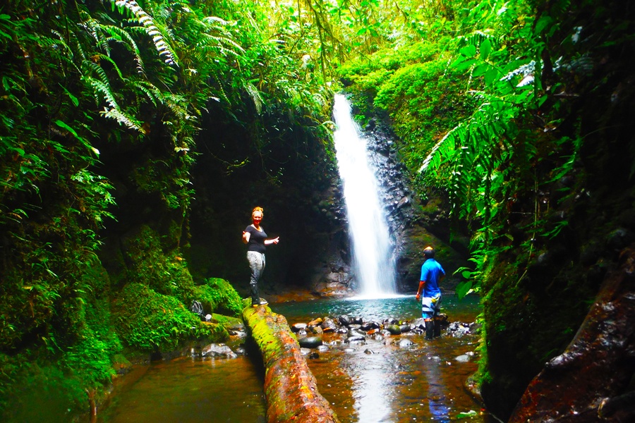 jungle-ecuador-day-tour-from-banios2