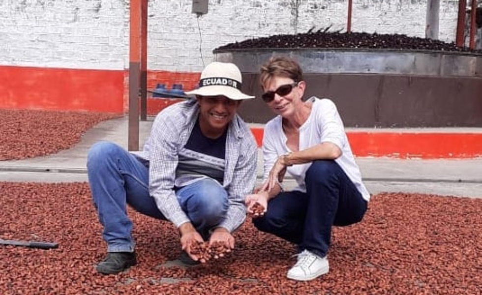 secado de cacao
